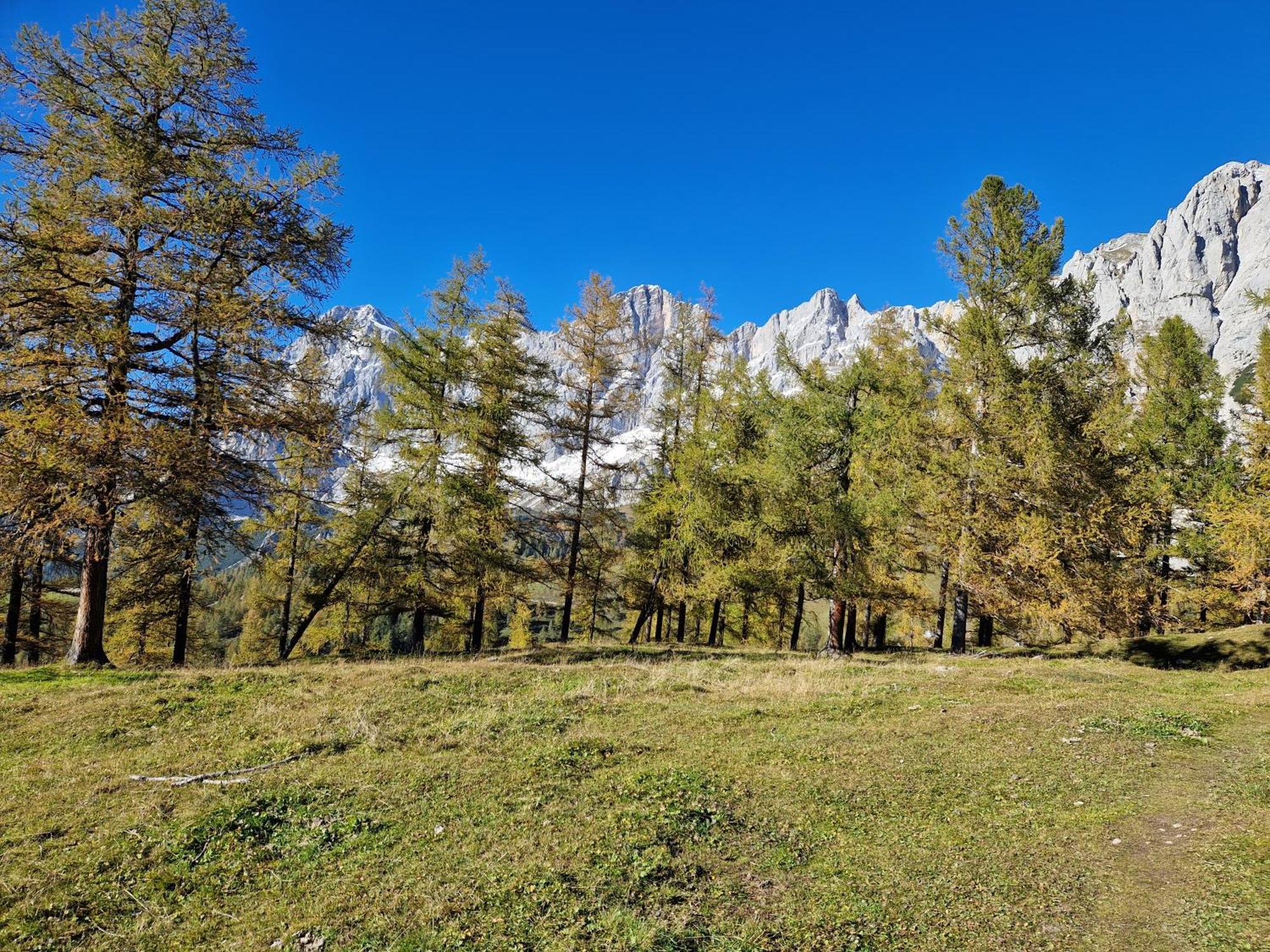 Romantikapartment Mit Sommercard Ramsau am Dachstein Exteriör bild