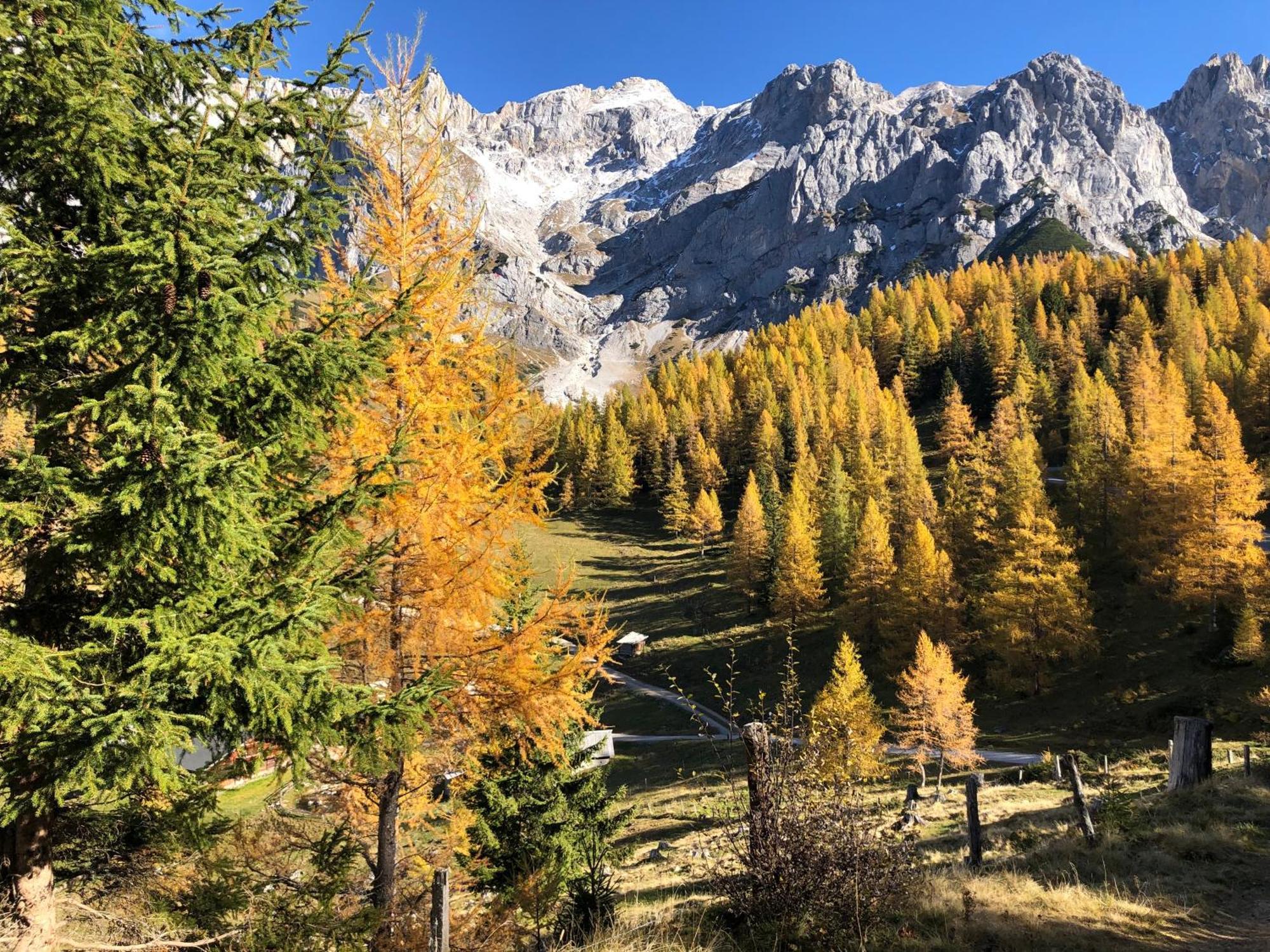 Romantikapartment Mit Sommercard Ramsau am Dachstein Exteriör bild