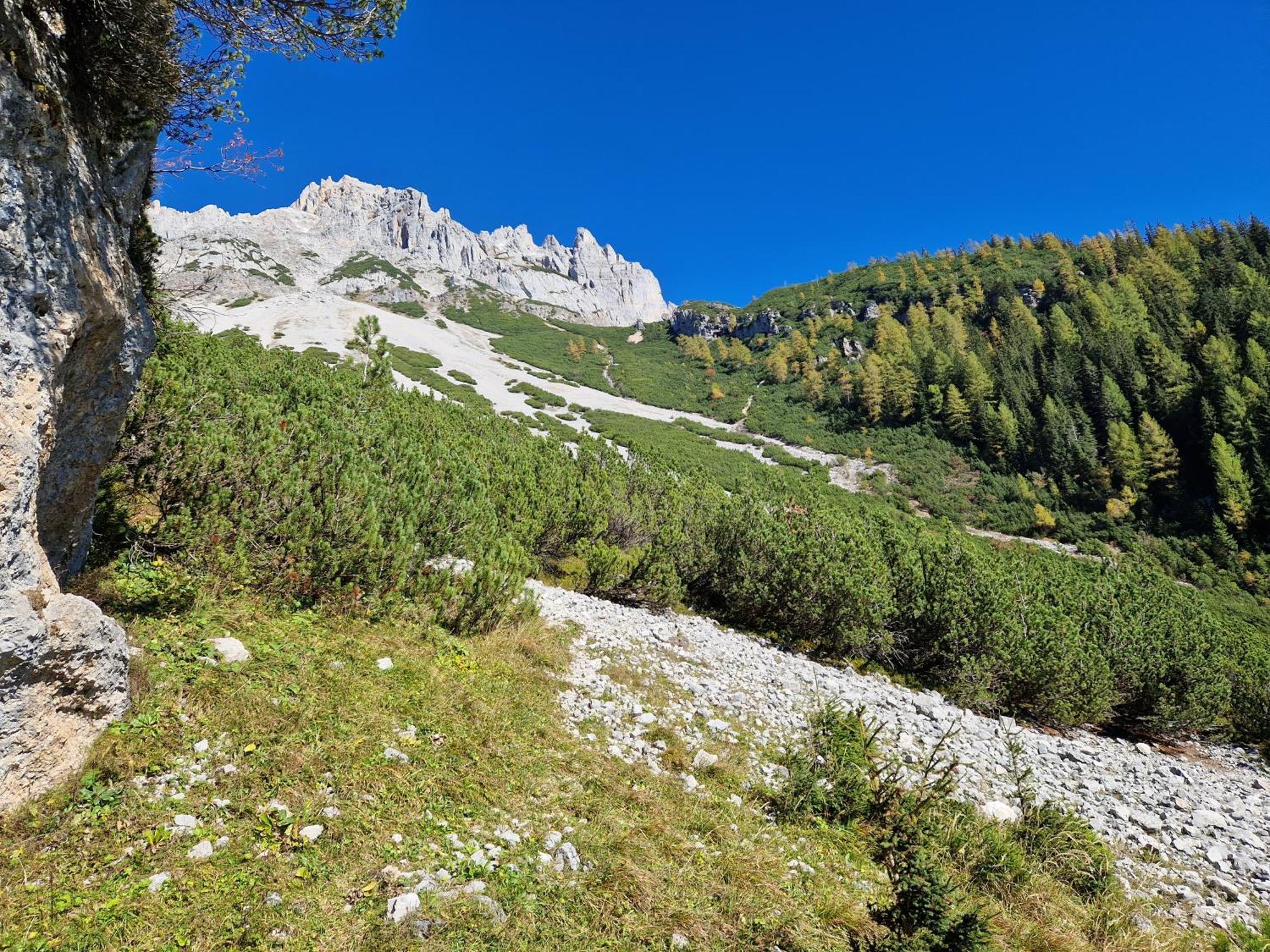 Romantikapartment Mit Sommercard Ramsau am Dachstein Exteriör bild