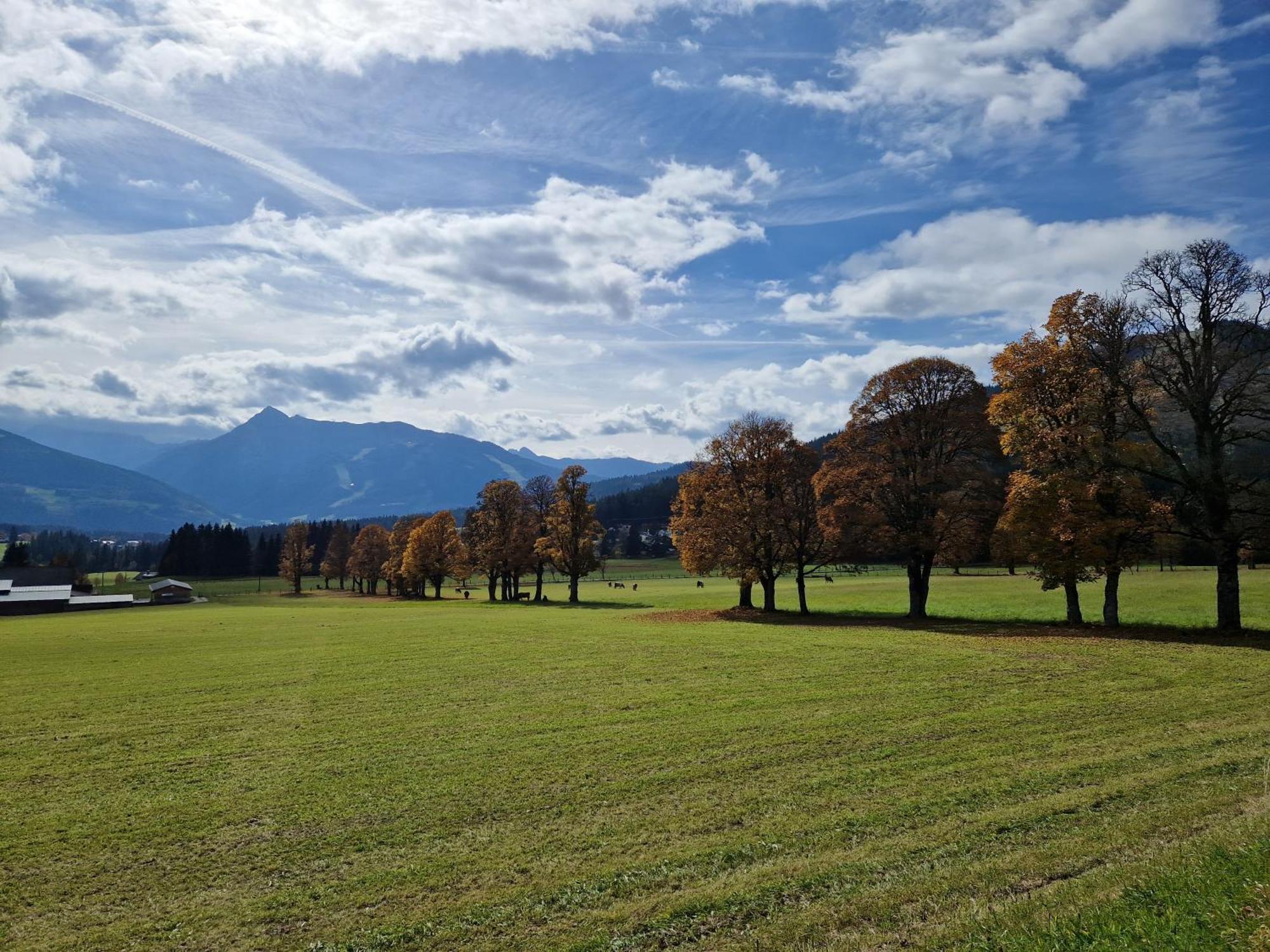 Romantikapartment Mit Sommercard Ramsau am Dachstein Exteriör bild
