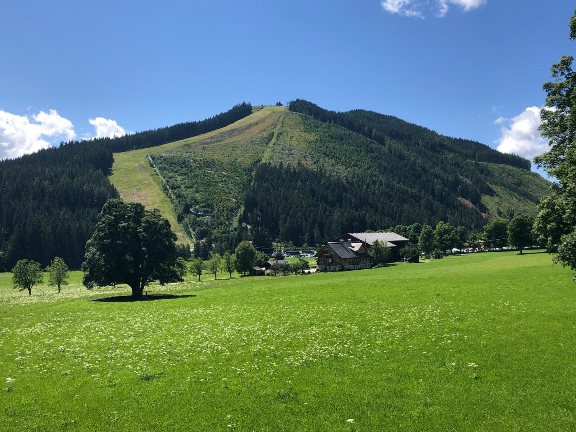 Romantikapartment Mit Sommercard Ramsau am Dachstein Exteriör bild