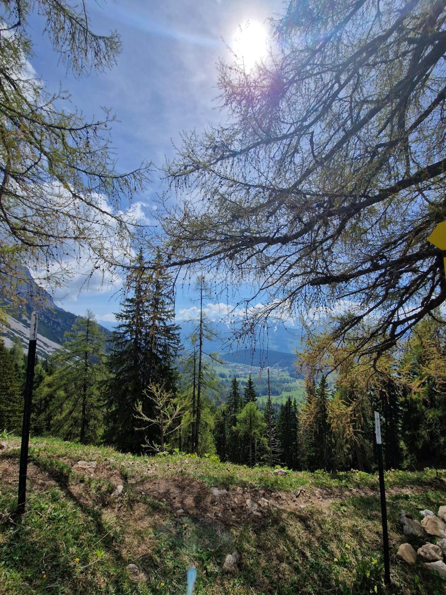 Romantikapartment Mit Sommercard Ramsau am Dachstein Exteriör bild