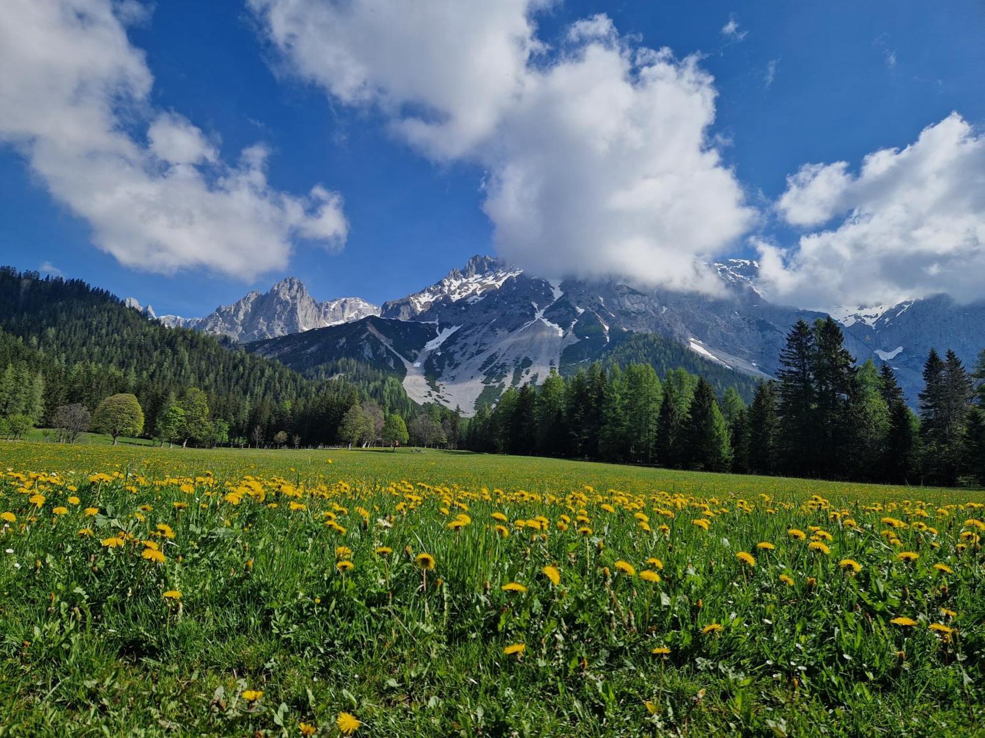 Romantikapartment Mit Sommercard Ramsau am Dachstein Exteriör bild