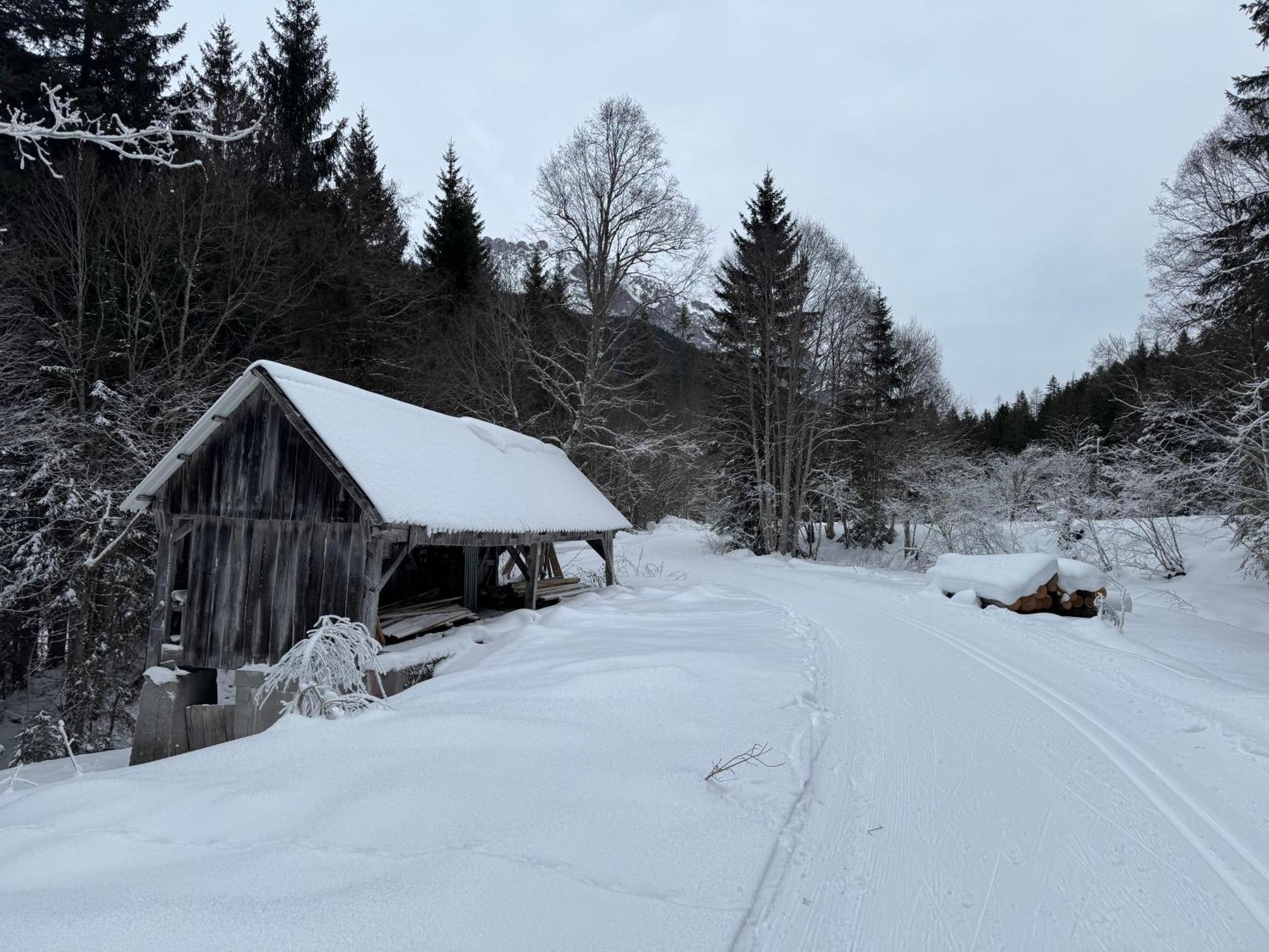 Romantikapartment Mit Sommercard Ramsau am Dachstein Exteriör bild